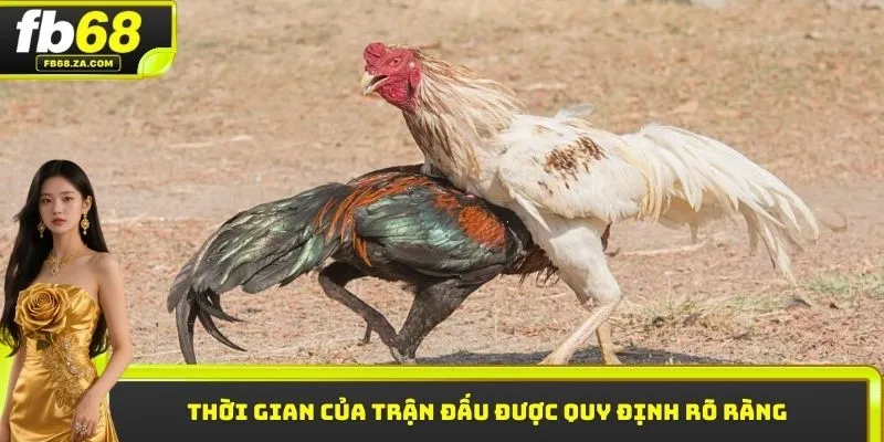 Thời gian của trận đấu được quy định rõ ràng